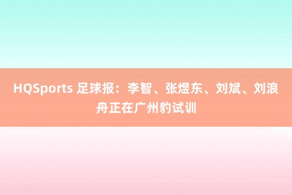HQSports 足球报：李智、张煜东、刘斌、刘浪舟正在广州豹试训