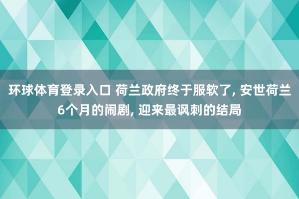 环球体育登录入口 荷兰政府终于服软了， 安世荷兰6个月的闹剧， 迎来最讽刺的结局