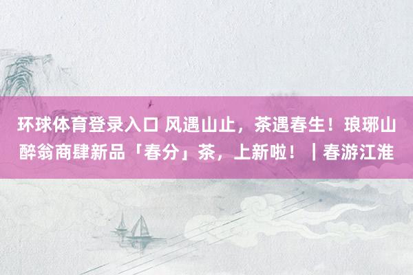 环球体育登录入口 风遇山止，茶遇春生！琅琊山醉翁商肆新品「春分」茶，上新啦！｜春游江淮