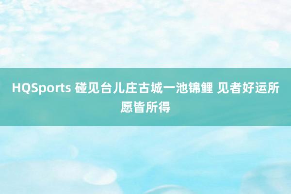 HQSports 碰见台儿庄古城一池锦鲤 见者好运所愿皆所得