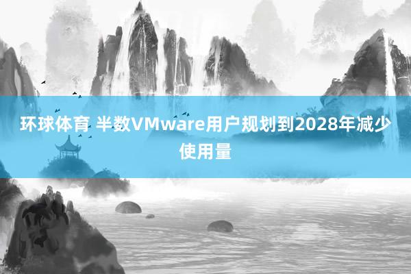 环球体育 半数VMware用户规划到2028年减少使用量