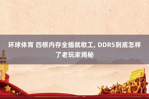 环球体育 四根内存全插就歇工， DDR5到底怎样了老玩家揭秘