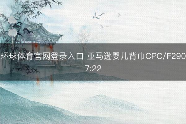 环球体育官网登录入口 亚马逊婴儿背巾CPC/F2907:22