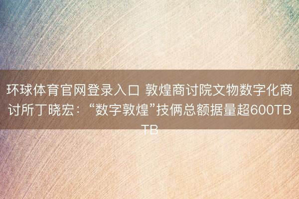 环球体育官网登录入口 敦煌商讨院文物数字化商讨所丁晓宏：“数字敦煌”技俩总额据量超600TB