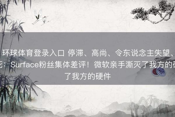 环球体育登录入口 停滞、高尚、令东说念主失望、已死：Surface粉丝集体差评！微软亲手澌灭了我方的硬件