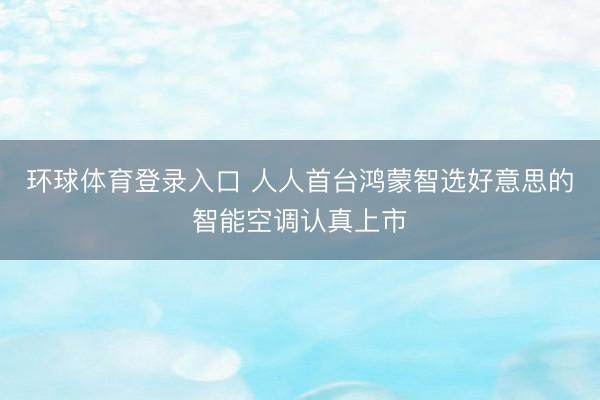环球体育登录入口 人人首台鸿蒙智选好意思的智能空调认真上市