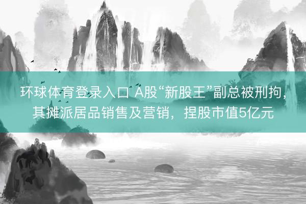 环球体育登录入口 A股“新股王”副总被刑拘，其摊派居品销售及营销，捏股市值5亿元
