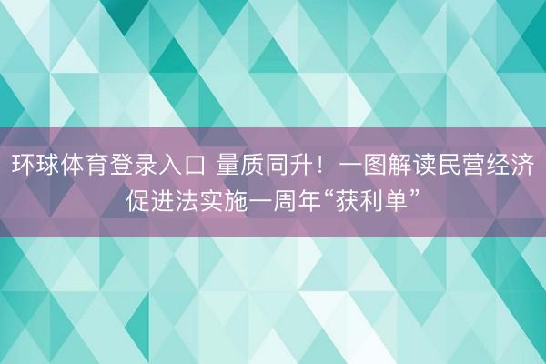 环球体育登录入口 量质同升！一图解读民营经济促进法实施一周年“获利单”
