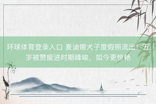 环球体育登录入口 麦迪娜犬子度假照流出！五岁被赞能进时期峰峻，如今更惊艳
