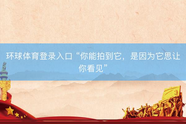 环球体育登录入口 “你能拍到它，是因为它思让你看见”