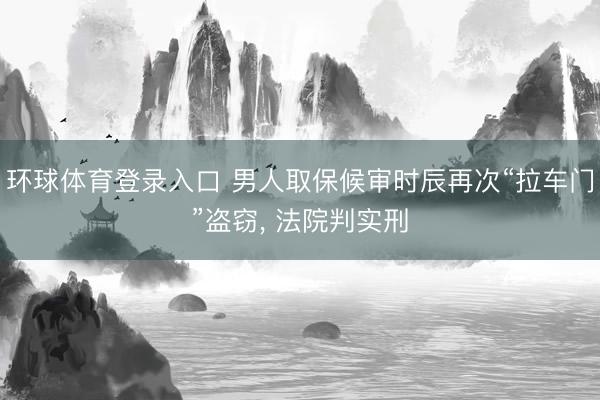 环球体育登录入口 男人取保候审时辰再次“拉车门”盗窃， 法院判实刑