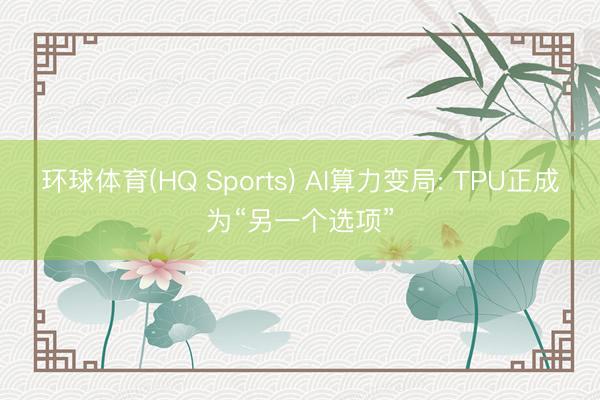 环球体育(HQ Sports) AI算力变局: TPU正成为“另一个选项”